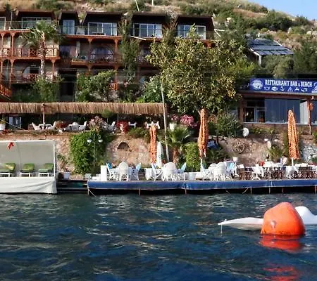 Dolphin Selimiye (Aegean)