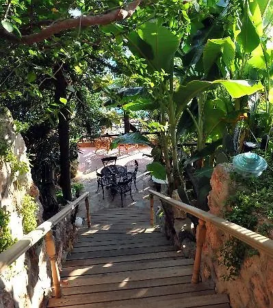 Hotel Dolphin Selimiye (Aegean)