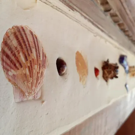 Hotel Dolphin Selimiye (Aegean)