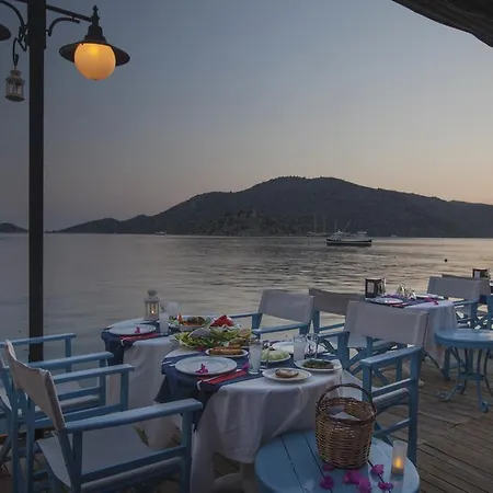 Dolphin Selimiye (Aegean)