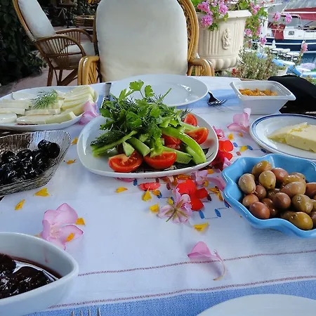 Hotel Dolphin Selimiye (Aegean)