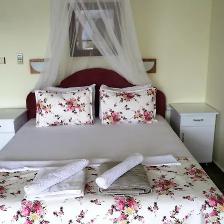 Dolphin Selimiye (Aegean)