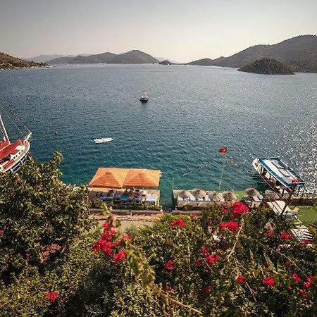 Dolphin Selimiye (Aegean)