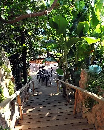 Hotel Dolphin Selimiye (Aegean)