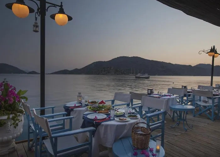 Dolphin Selimiye (Aegean)