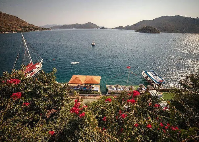 Dolphin Selimiye (Aegean)