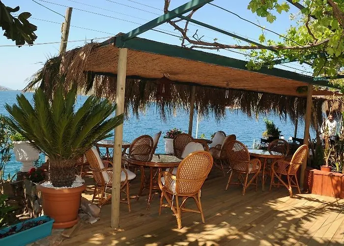 Hotel Dolphin Selimiye (Aegean)