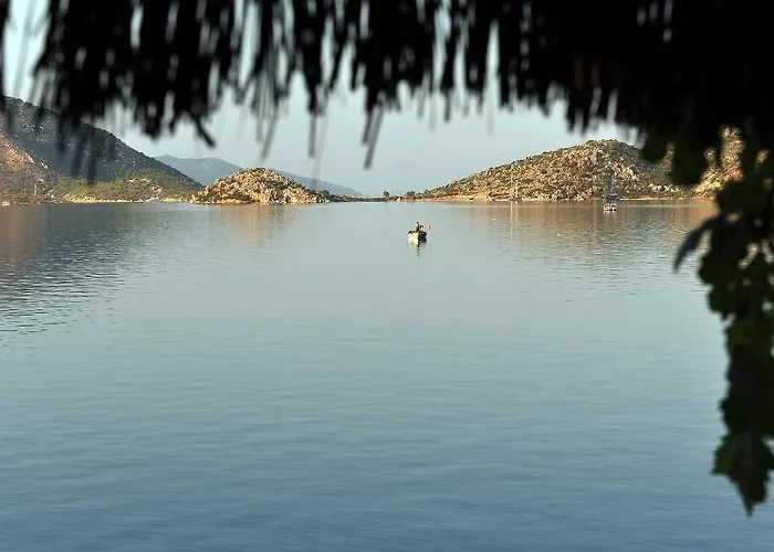 Szálloda Dolphin 3*