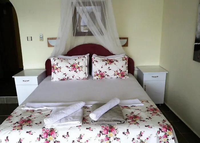 Dolphin Selimiye (Aegean)